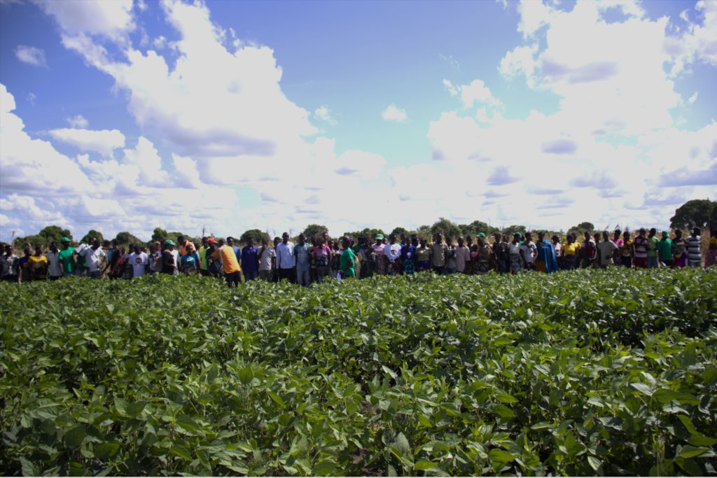 Fotos website - Kupulumuswa (1)